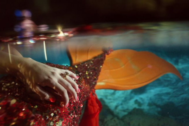 Siêu lãng mạn cặp đôi quyết lên rừng, xuống biển để cầu hôn