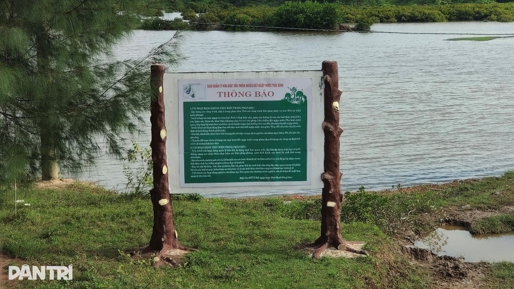 Thái Bình xóa 11.000ha khu bảo tồn: Là rừng đặc dụng phát triển kém? - 1 Thái Bình xóa 11.000ha khu bảo tồn: Là rừng đặc dụng phát triển kém? - 1