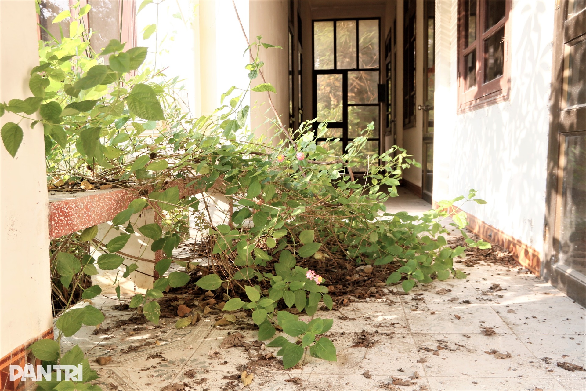 Cảnh hoang tàn bên trong Bệnh viện Sản Nhi Ninh Bình cũ - 10