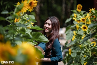 TPHCM nắng đẹp và có chút se lạnh dịp Tết Giáp Thìn 2024