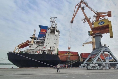 Thiết lập tuyến vận tải biển kết nối trực tiếp Việt Nam - Malaysia - Ấn Độ