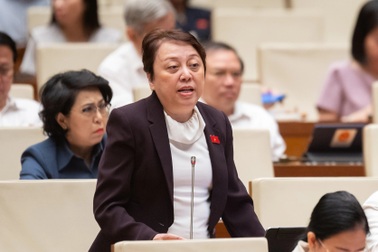 "Tại sao chúng ta giảm án tử hình?"