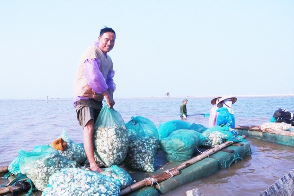 Ninh Bình di dời dân ngoài đê Bình Minh III đến nơi an toàn - 2 Ninh Bình di dời dân ngoài đê Bình Minh III đến nơi an toàn - 2
