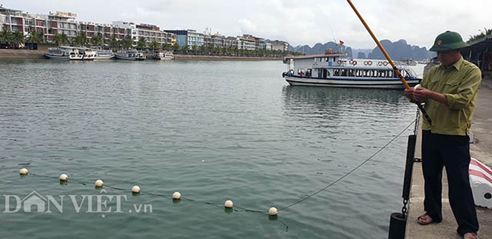 Hàng nghìn tỷ nổi giữa vịnh Hạ Long, chủ tàu như ngồi trên đống lửa - 1 Hàng nghìn tỷ nổi giữa vịnh Hạ Long, chủ tàu như ngồi trên đống lửa - 1