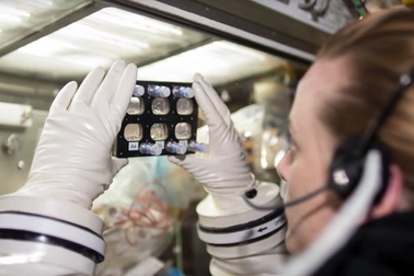 Tại sao các nhà khoa học lại đưa tế bào gốc lên vũ trụ?