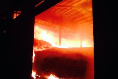 Kho mì cháy suốt 2 ngày đang được niêm phong để thu khoản nợ 60 tỷ đồng