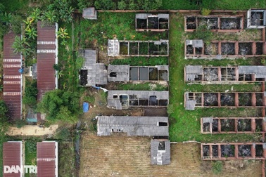 Cận cảnh dự án nghìn tỷ thành bãi chăn thả trâu bò suốt hơn một thập kỷ