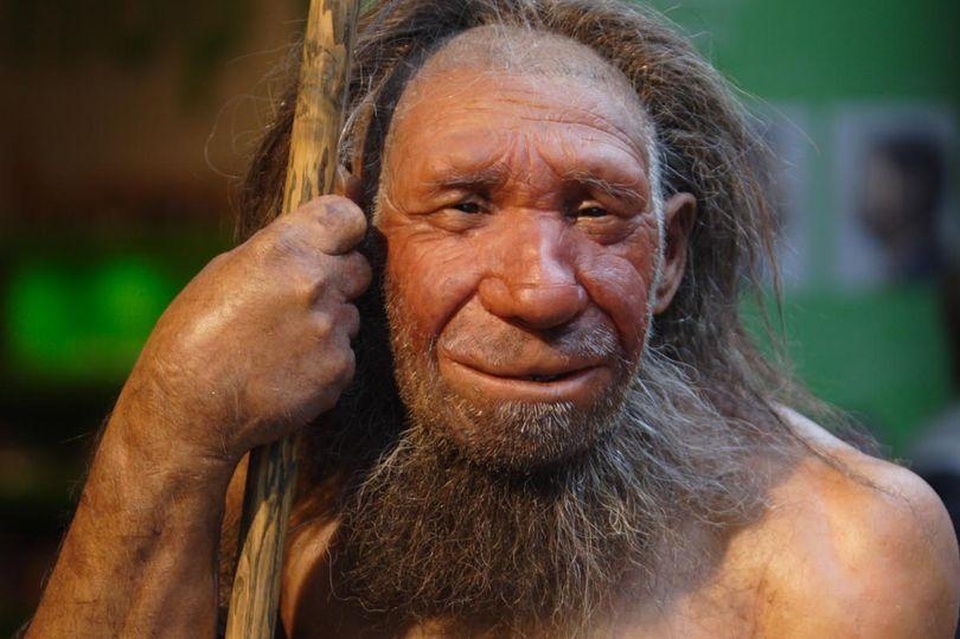 Người thừa hưởng gene người Neanderthal có nguy cơ mắc Covid-19 cao hơn - 1 Người thừa hưởng gene người Neanderthal có nguy cơ mắc Covid-19 cao hơn - 1