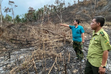Truy tìm đối tượng tàn phá hơn 3,5ha rừng
