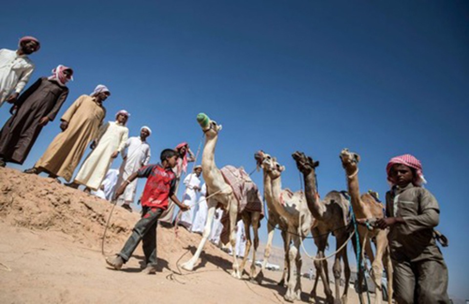 Đường đua các “chiến binh lưng gù” tại Sinai sôi động trở lại - 1