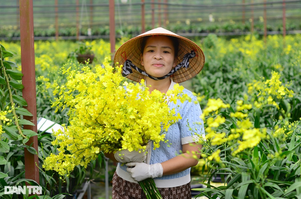 Phó chủ tịch xã có nguồn thu nhập nhiều người mơ ước từ nghề tay trái - 3 Phó chủ tịch xã có nguồn thu nhập nhiều người mơ ước từ nghề tay trái - 3