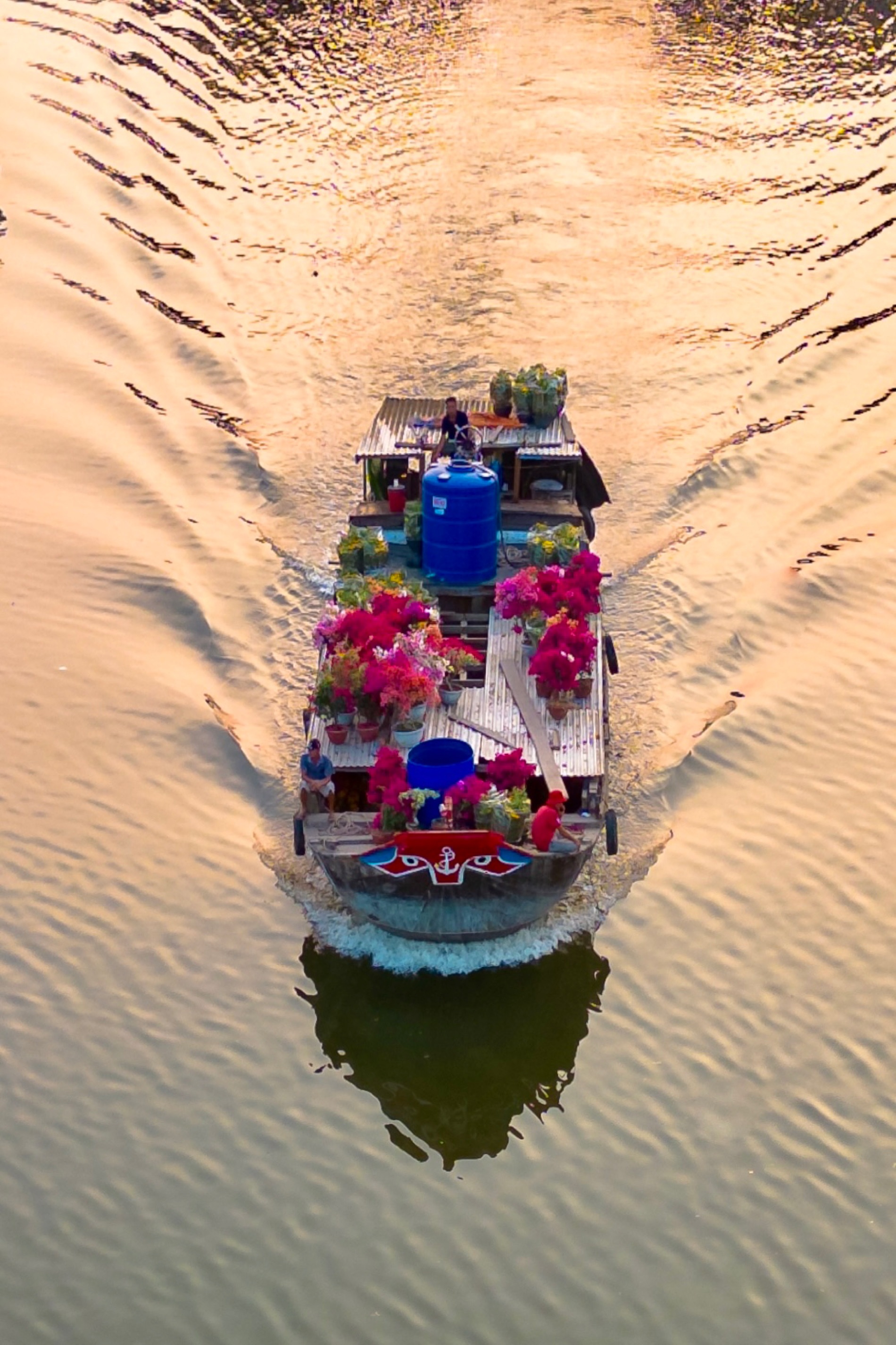 Chợ hoa bến Bình Đông