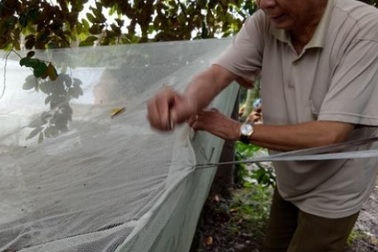 Chuyện nghiêm chỉnh: Mắc màn nuôi...ếch