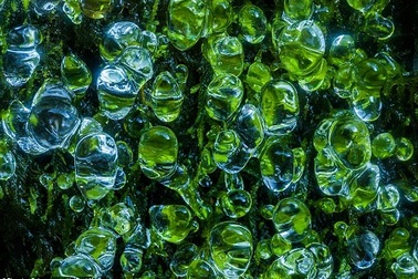 Những gam màu kỳ diệu của thiên nhiên