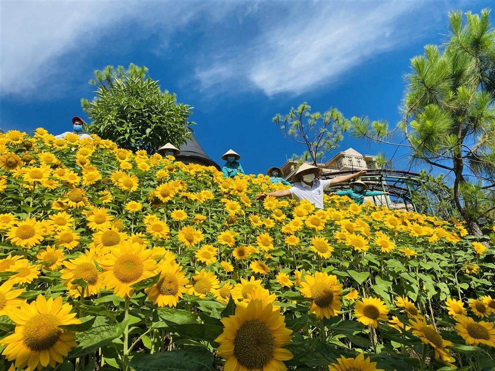 Nhiều trải nghiệm bất ngờ được các điểm đến Sun Group chuẩn bị để chào đón khách trở lại - 3 Nhiều trải nghiệm bất ngờ được các điểm đến Sun Group chuẩn bị để chào đón khách trở lại - 3