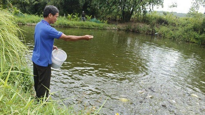 Mục tiêu của kế hoạch nhằm hỗ trợ đào tạo hình thành đội ngũ nông dân chuyên nghiệp, xây dựng lực lượng lao động nông thôn có kiến thức, tay nghề cao đáp ứng yêu cầu phát triển kinh tế - xã hội mới.
