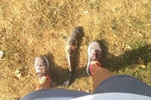 Hy hữu người phụ nữ bị thương vì... cá từ trên trời rơi trúng mặt