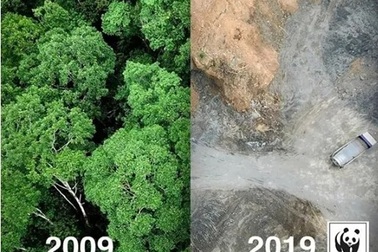 "Thử thách 10 năm" của Trái Đất: Hiện thực tàn khốc!