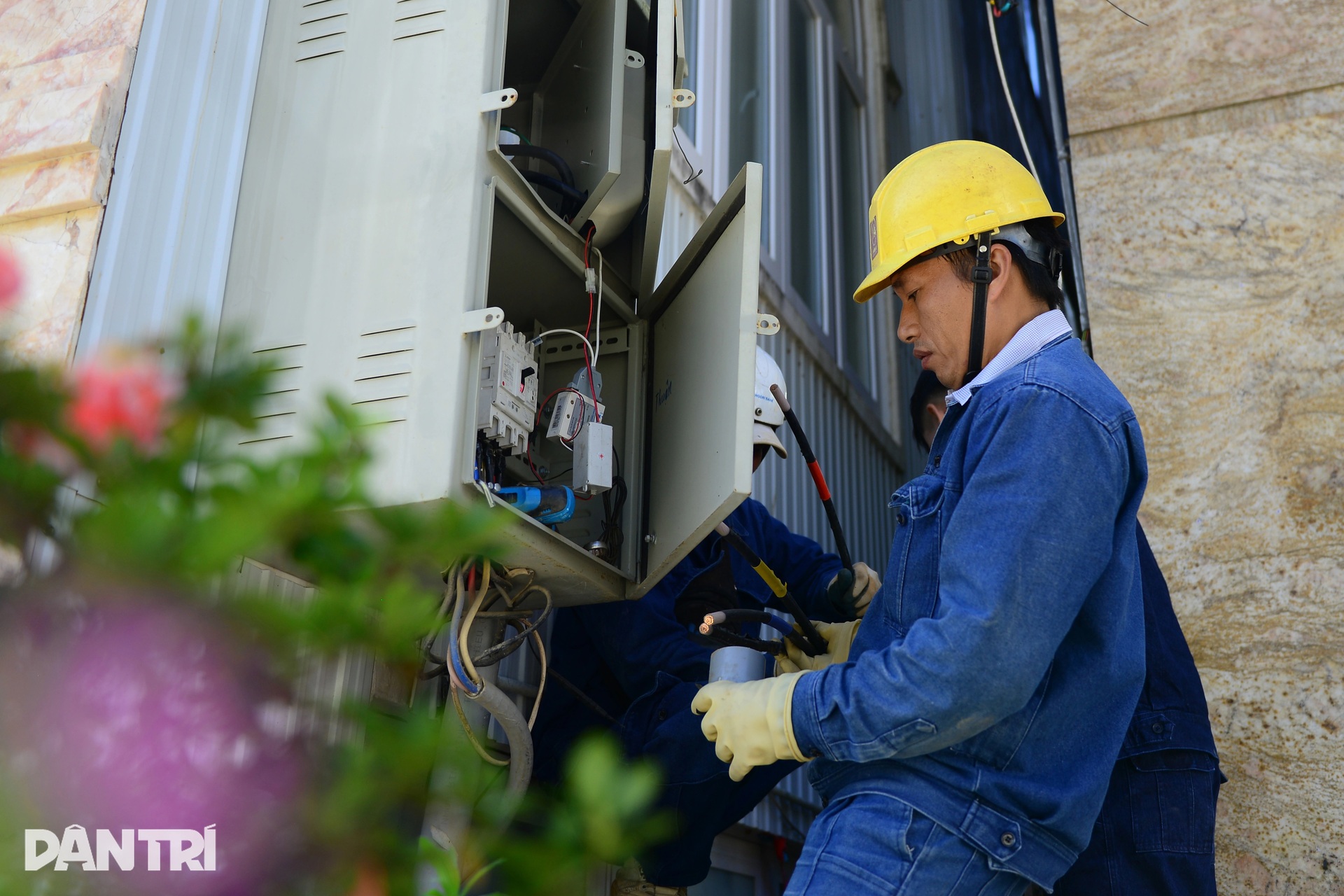 Nhổ loạt trụ điện bị bỏ quên ở tuyến đường đẹp bậc nhất trung tâm Đà Lạt - 7 Nhổ loạt trụ điện bị bỏ quên ở tuyến đường đẹp bậc nhất trung tâm Đà Lạt - 7