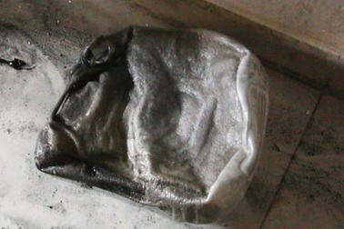 Hai mẹ con rơi từ tầng 10 chung cư cháy: Nghi có can xăng tại hiện trường