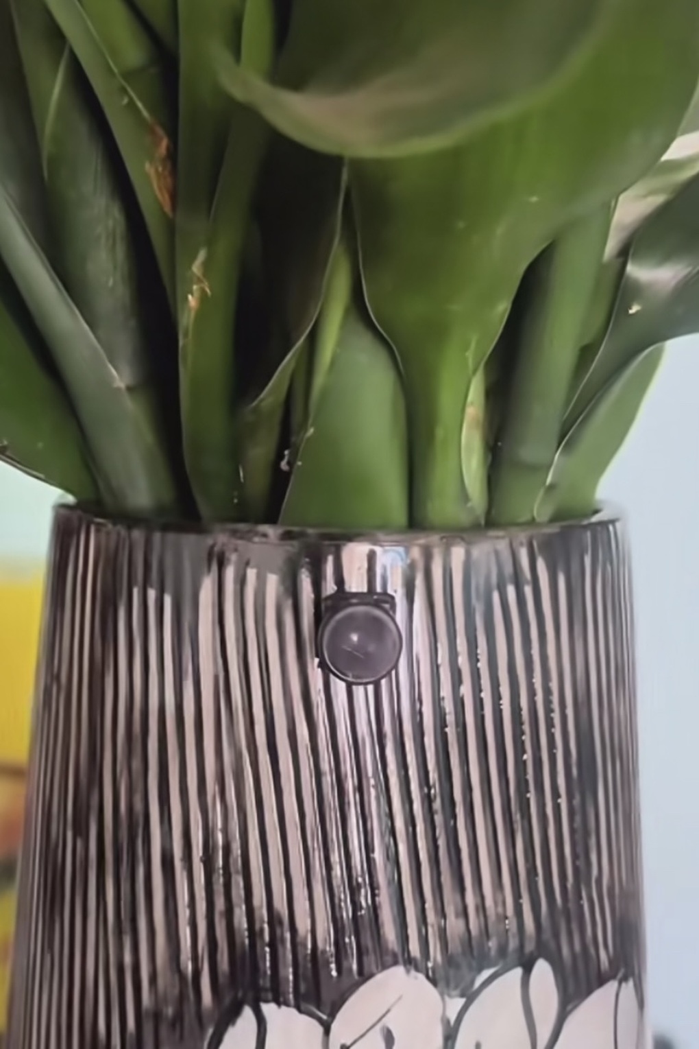 Camera ngụy trang được rao bán công khai: Làm gì để tránh bị quay lén? - 2 Camera ngụy trang được rao bán công khai: Làm gì để tránh bị quay lén? - 2