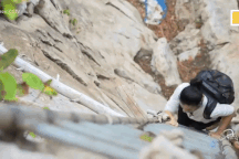 Kiếm hàng tỷ đồng nhờ việc thu hoạch phân dơi, phân chim