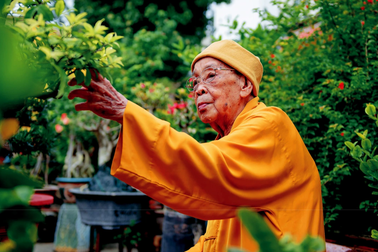 Trưởng lão Hòa thượng Thích Hiển Tu viên tịch