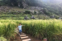 Cặp vợ chồng Hà Nội dành 4 năm cải tạo mảnh đất hoang và cái kết bất ngờ