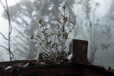 Trời hửng nắng, miền Bắc ấm dần