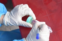 Ca mắc mới giảm sâu, dịch Covid-19 liệu sắp kết thúc?