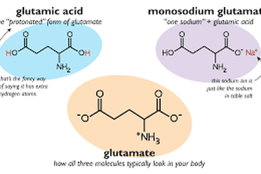 Bột ngọt: Tốt khi dùng đúng, xấu vì lạm dụng