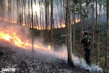 Người đàn ông tử vong khi tham gia chữa cháy rừng ở Phú Yên