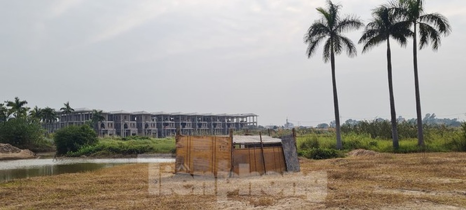Biệt thự nuôi gà, trồng rau ngoại thành Hà Nội bất ngờ được thổi giá dựng ngược - 6 Biệt thự nuôi gà, trồng rau ngoại thành Hà Nội bất ngờ được thổi giá dựng ngược - 6