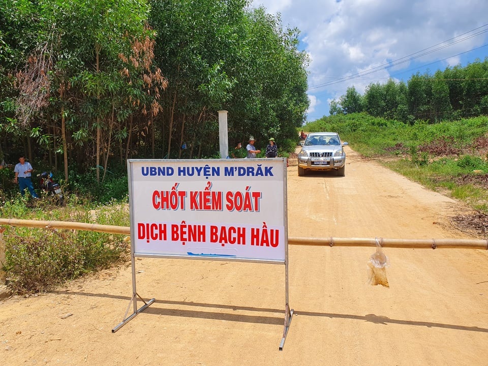 Phát hiện thêm 2 trường hợp dương tính bệnh bạch hầu, cách ly toàn thôn - 1 Phát hiện thêm 2 trường hợp dương tính bệnh bạch hầu, cách ly toàn thôn - 1