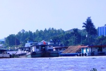 Liên quan đến “cát tặc”, chủ tịch huyện Hồng Ngự bị đình chỉ công tác