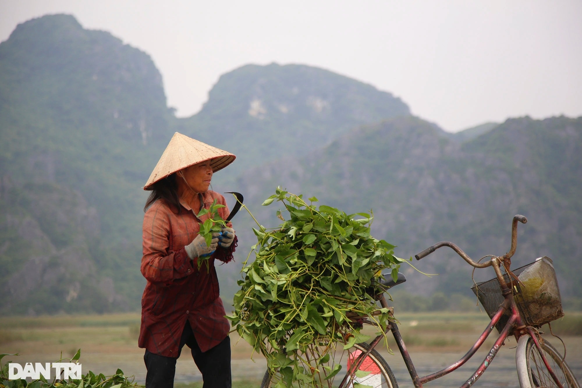 Phong cảnh hoang sơ của vùng đất ngập nước lớn nhất châu thổ sông Hồng - 7 Phong cảnh hoang sơ của vùng đất ngập nước lớn nhất châu thổ sông Hồng - 7
