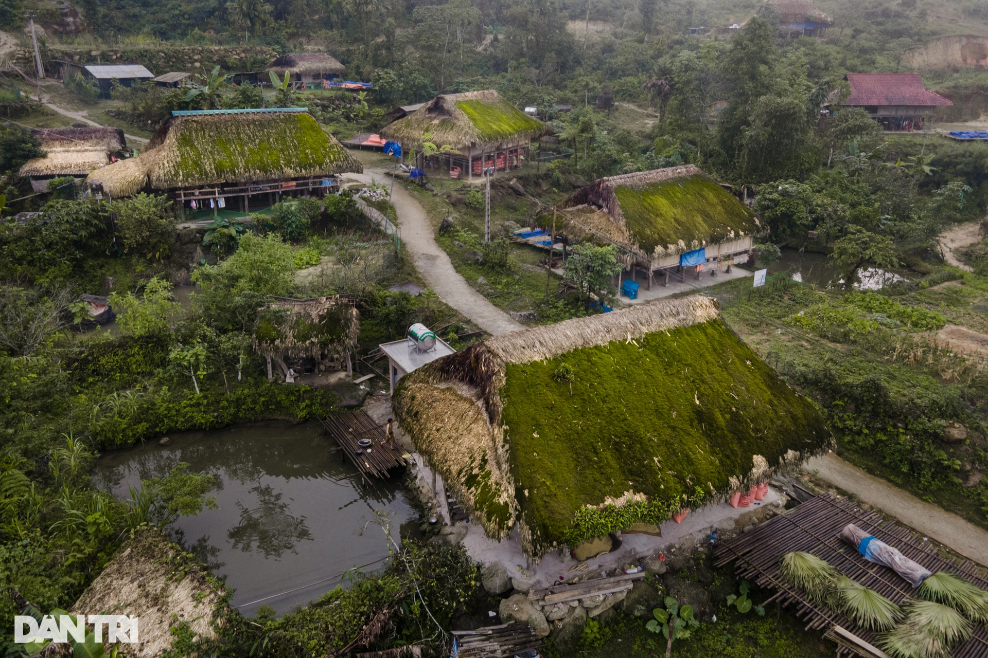 Ngắm những mái nhà cổ phủ kín rêu xanh trên bản Hà Giang ở độ cao 1.000m - 12