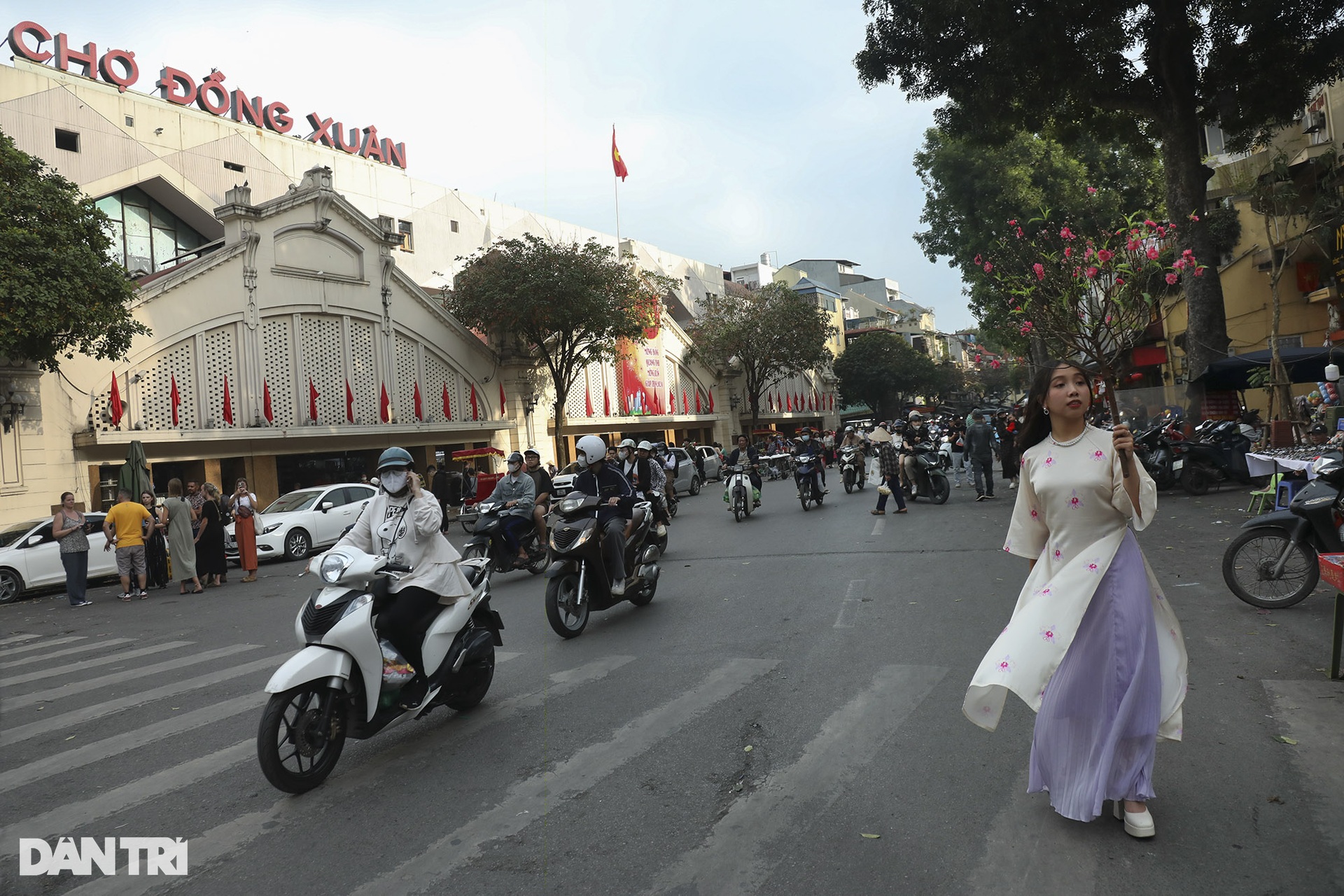 Lắng đọng những khoảnh khắc tại chợ hoa Hàng Lược ngày cuối năm - 8 Lắng đọng những khoảnh khắc tại chợ hoa Hàng Lược ngày cuối năm - 8