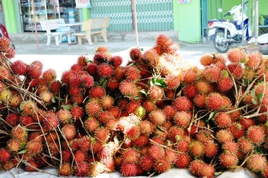 Chôm chôm nghịch mùa tăng giá, nhà vườn không có bán