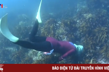 Ama - những thợ lặn nữ bí ẩn ở Nhật Bản