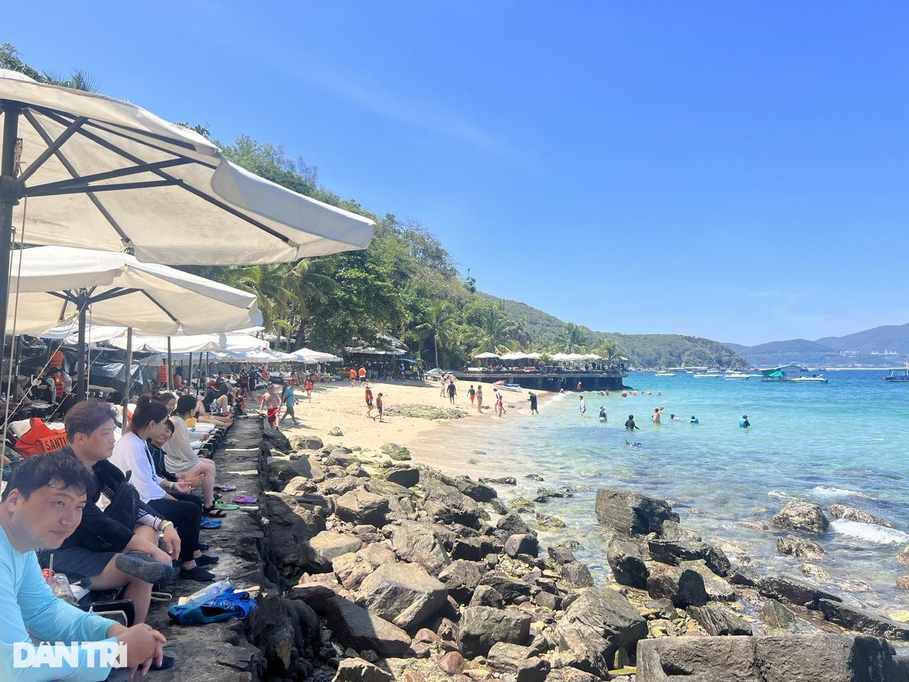 Vé máy bay trong nước đắt gần 2 lần đi nước ngoài, công ty du lịch than khó - 2