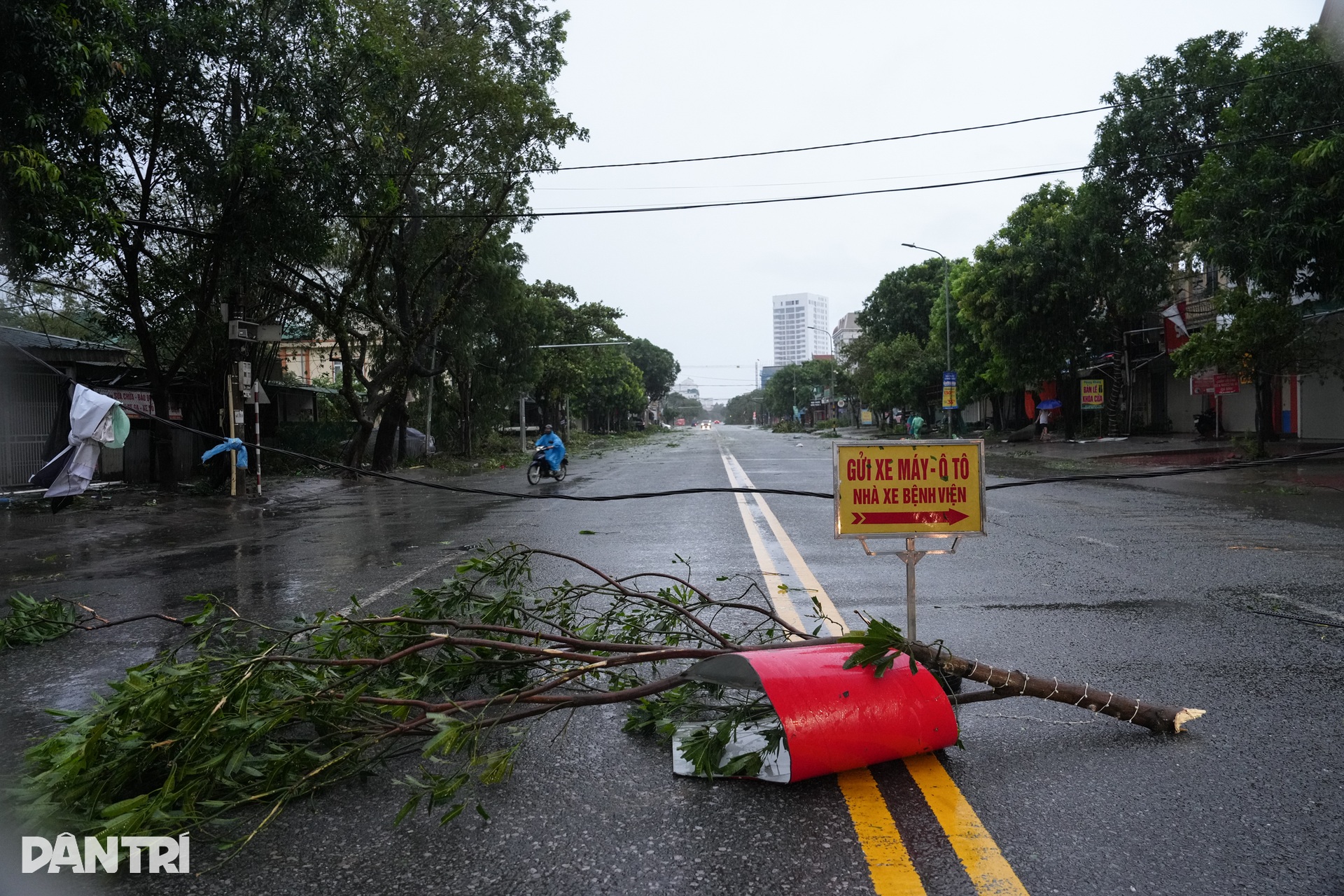 Nhà chờ xe buýt đổ sập, tôn bay và cây nằm la liệt khắp phố sau bão Kajiki - 12 Nhà chờ xe buýt đổ sập, tôn bay và cây nằm la liệt khắp phố sau bão Kajiki - 12