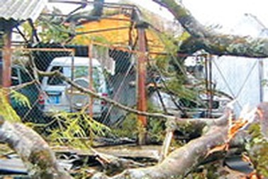 18 người chết, mất tích do mưa đá và giông lốc 