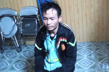 Bắt người đàn ông chuyên đi trộm cây trang trí dọc đường