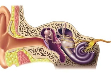 Những điều cần biết về rối loạn tiền đình
