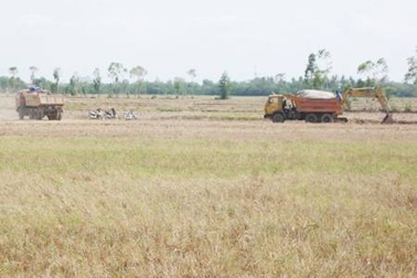 “Nóng” chuyện khai thác đất mặt ruộng ở Sóc Trăng