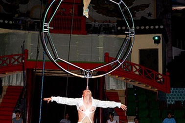 Việt Nam là chủ nhà Liên hoan Xiếc quốc tế 