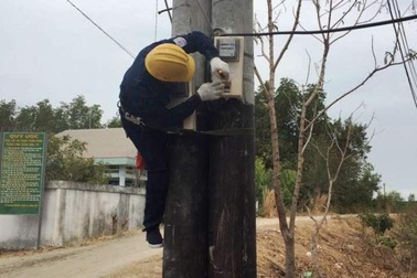 Ấp đảo cuối cùng tại Sài Gòn hòa điện lưới quốc gia