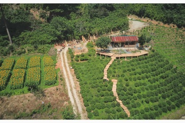 Chàng trai bỏ phố lên Đà Lạt cuốc đất làm vườn ngập cây xanh và hoa đẹp