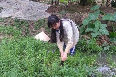 Đỗ đại học, nữ sinh lo đi làm công nhân vì không có tiền nhập học